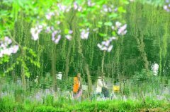 1982年是閏四月嗎？閏四月有沒有說法？