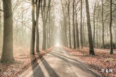 28星宿裡開門放水解釋,黃道吉日和星宿哪個重要