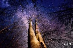 結婚第一年過年初幾回娘家好，了解這些風俗習慣很重要！