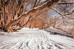 大門朝東北開是午山子向嗎
