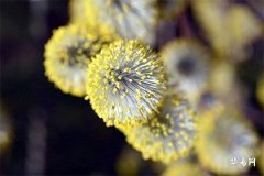 27歲是弱冠之年嗎,弱冠之年指幾歲到幾歲