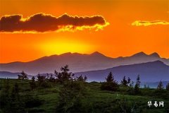 屬兔買房幾樓好：風水與生肖的樓層選擇指南