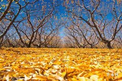 25歲是弱冠之年嗎，古代弱冠禮的意義