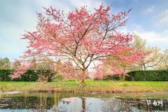 大年三十不洗澡，傳統背後有何講究？