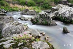 冬至出生的人一般命裡缺什麼秘密