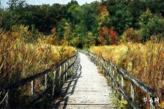 男人身長腿短是什麼命