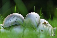 扁平足女人的命運如何