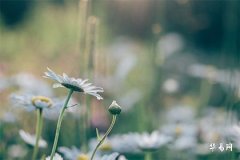 結婚第一年過年在哪家過年，四種選擇讓你無憂過年