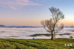 腳小的女人命運怎麼樣：財富、家庭與社交生活解析