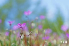 元宵節不能剪頭髮嗎，正月十五能過生日嗎