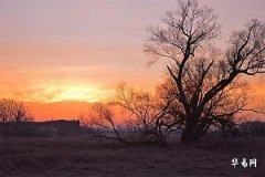 屬蛇買樓層買幾樓最好