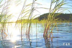 屬兔買11樓好不好？風水宜忌全解析