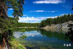 大門朝東北開風水要點及化解技巧