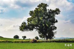 中元節在十字路口燒紙是為什麼