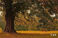 冬至那天出生的孩子好吗？性格與命運揭秘