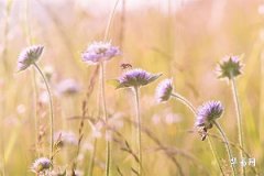 年柱三丘五墓是什麼？年柱有哪些格局屬於凶格？