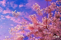 時柱月德貴人天乙貴人 命入天乙貴人代表什麼