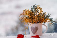 身子長腿短的男人命運：福運與性格解析