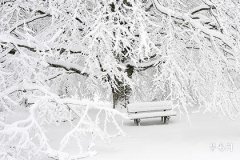 冬至是冬天開始還是結束？冬至的含義和節氣特點