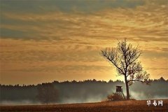 五帝錢不能亂送的原因