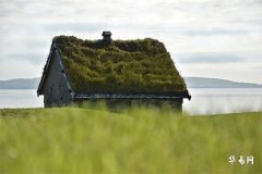 屬兔買房子買幾樓最好的選擇：風水與居住指南