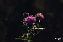 橫樑壓床頭櫃子會怎麼樣,床尾上有橫樑算不算壓床