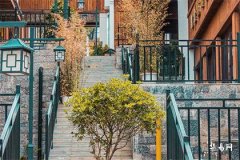 樓梯下擺什麼好旺財？樓梯風水禁忌全解析