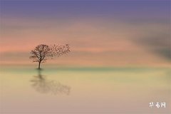 Which Zodiac Sign Can Pass the Driving License Exam Easily and Has Higher Talent for Learning to Drive