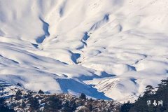 本命年怎麼算開始結束，屬蛇人的本命年大忌