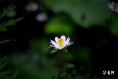 大年三十不能見娘家燈的由來及民間說法