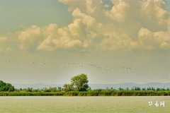 海王星落入第一宮：個人特質與命運的交織之處