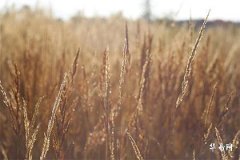 正北衛生間為啥不聚財？衛生間會給你帶來麻煩事