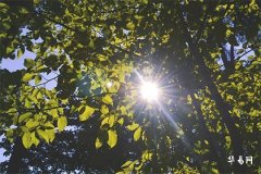 男生弱冠之年是指多少歲,弱冠之年可以指女子嗎