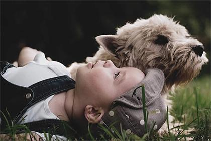 十二屬相寶寶在哪月出生好