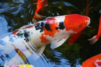 手相看誰靈感豐富直覺敏銳。jpg