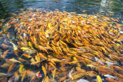 面相邋遢的人會有怎樣的壞運氣