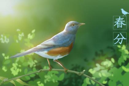 Introduction to the Start of Summer Solar Term, What Does Start of Summer Signify?