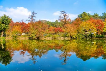 立秋不能吃什麼？立秋當天下雨好不好有什麼說法？