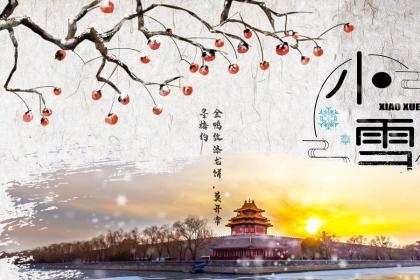 What to Eat During the Start of Summer? What Are the Health-Preserving Foods for This Season?