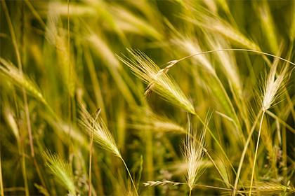 女孩帶水的名字大全集，五行缺水的名字