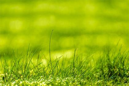 五行金命人收銀台擺哪個方位？收銀台風水擺放禁忌