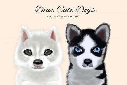 70年屬狗12月出生的人命怎麼樣？晚年有福嗎？