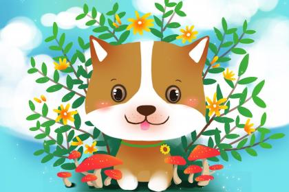 夢見狗喜歡自己