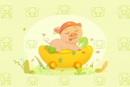 屬豬的什麼時辰出生最好