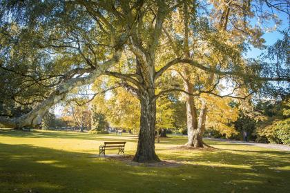 What season is April? What fruits are available in April?