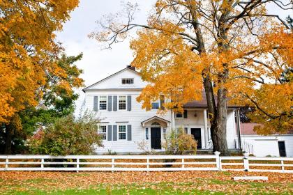 什麼生肖不適合飼養花草樹木