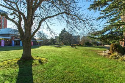 生命線看你的生命力。jpg