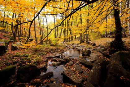 小滿是什麼季節？小滿有什麼習俗？