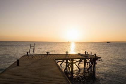 夢見被追殺逃跑躲藏