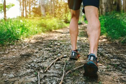 事業線從金星丘出發上升：